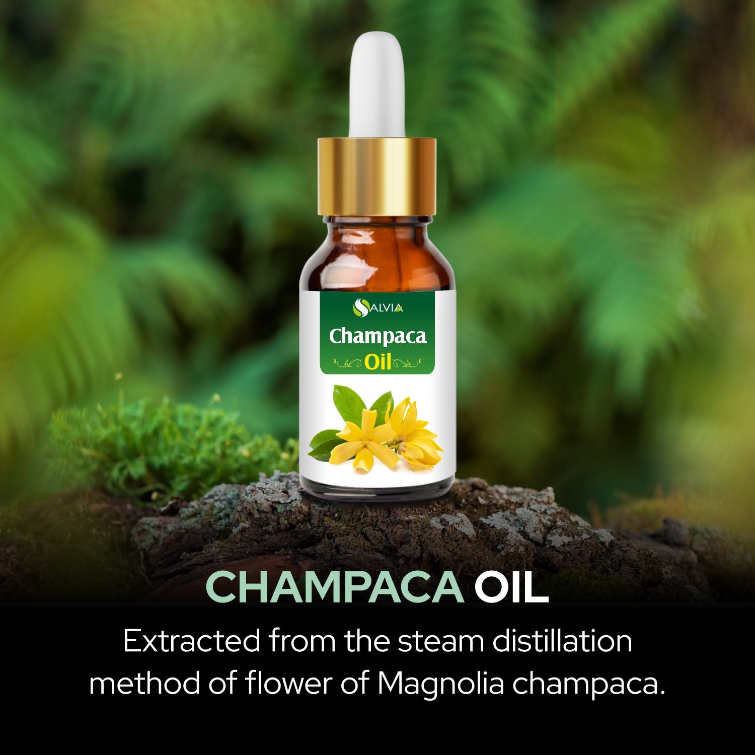 Salvia Natural Essential Oils,Dandruff,Greasy Oil,Anti Fungal,Anti-fungal Oil,Oil for Greasy Hair Champaca Oil Salvia Natural Essential Oils,Dandruff,Greasy Oil,Anti Fungal,Anti-fungal Oil,Oil for Greasy Hair Champaca Oil